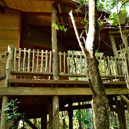 Waterbessiebos Cottage Tzaneen Buitenkant foto