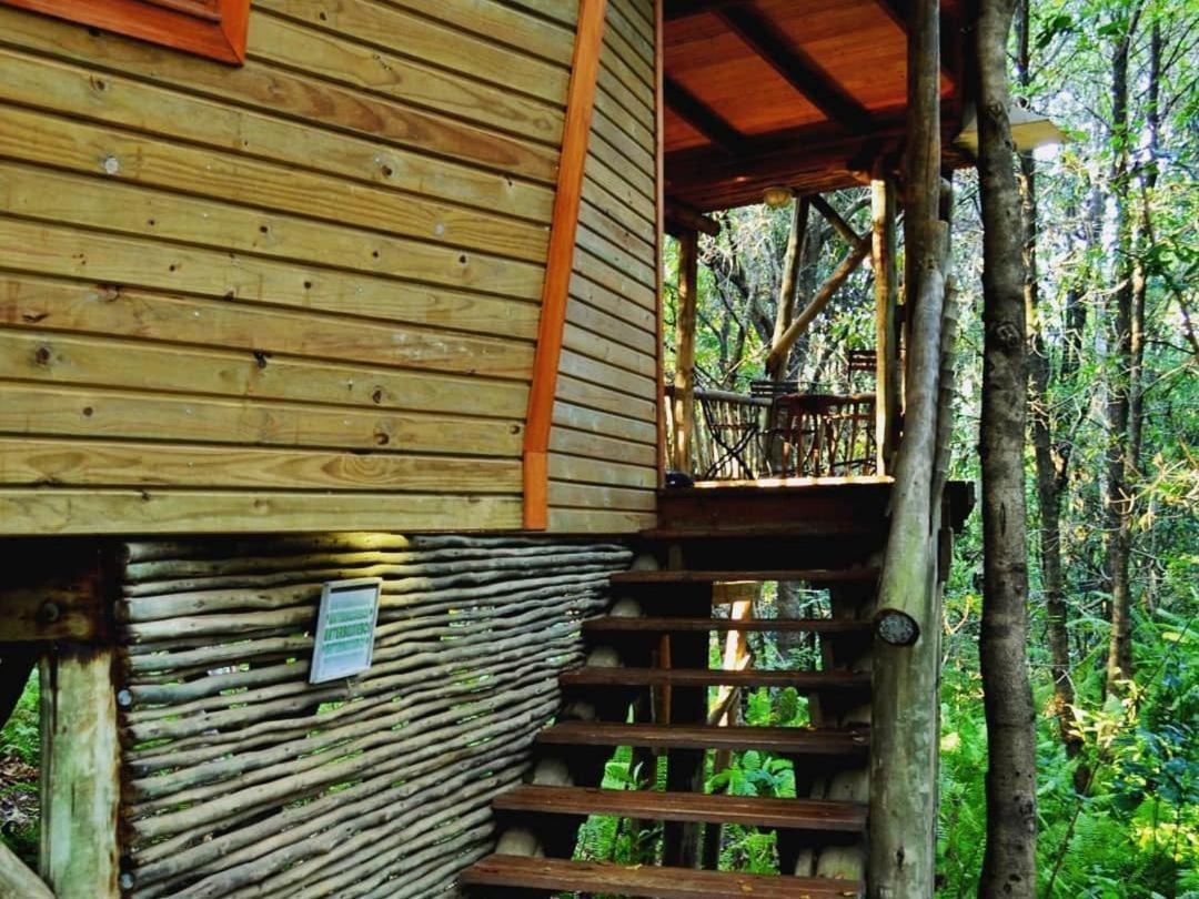 Waterbessiebos Cottage Tzaneen Buitenkant foto