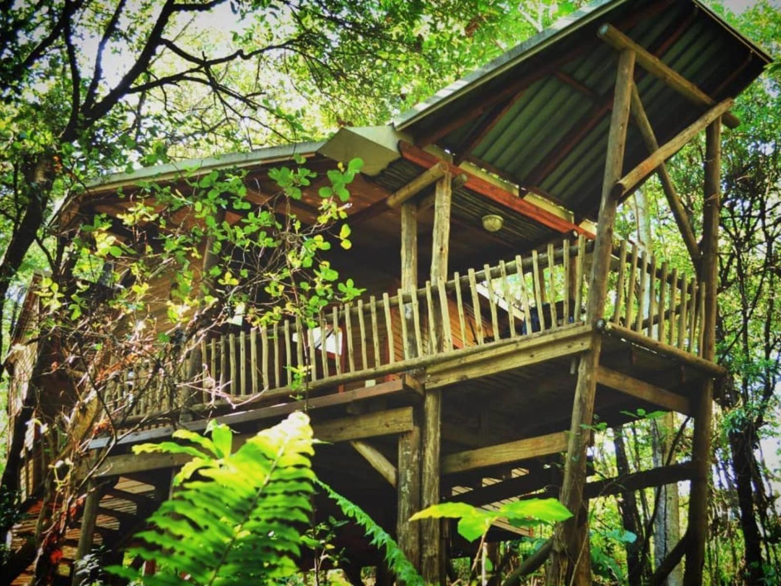 Waterbessiebos Cottage Tzaneen Buitenkant foto